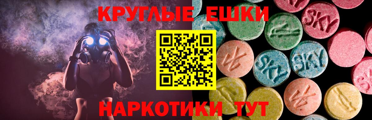 ЭКСТАЗИ Philipp Plein Чебоксары