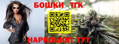 шишки Дубна