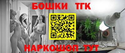 шишки Дубна