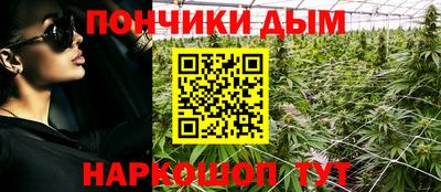 шишки Дубна
