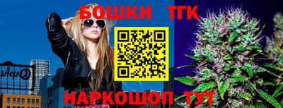 шишки Дубна