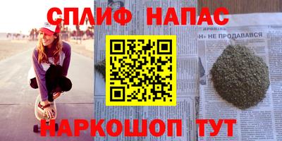 шишки Дубна