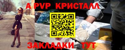 шишки Дубна