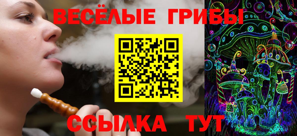 Псилоцибиновые грибы Psilocybine cubensis Чебоксары