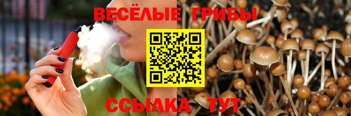Галлюциногенные грибы GOLDEN TEACHER  Вход с VPN  Чебоксары 